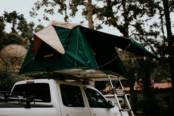 Explorations Étonnantes : Plongée dans des Univers Thématiques des Parcs d'Attraction