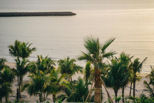 Explorez les Meilleures Destinations pour des Locations de Villas de Luxe Inoubliables